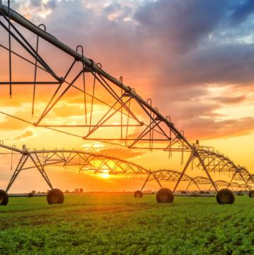 irrigation